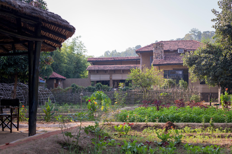 Others 5, Kings Lodge, Umaria