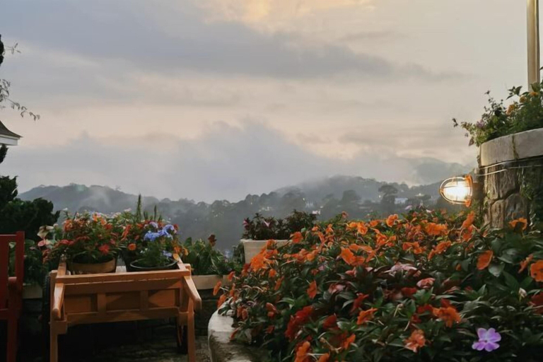 Outdoor dining 2, Thi Tran Co Da Lat, Đà Lạt