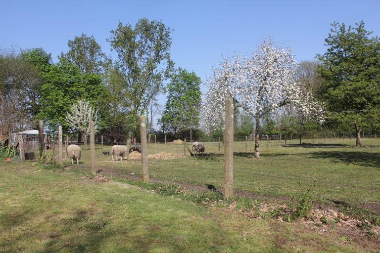 Others 2, Beej Potters, Weert