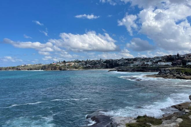 Miscellaneous 4, Garden View Entire Self Contained Guesthouse, Sutherland Shire - West