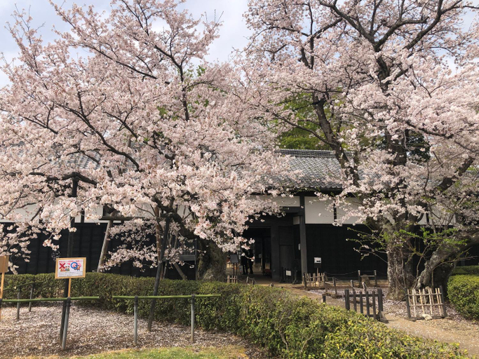 Others 5, Kashiwanoha Hotspring Garden Villa&Suite Room, Kashiwa