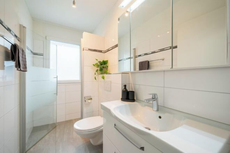 Bathroom 5, Modern Swiss Apt spacious garden + parking, Zofingen