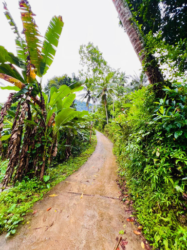 Others 5, Polatagama Jungle Eco Resort, Yatiyanthota