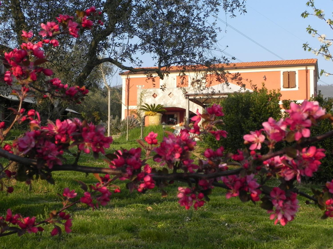 Others 4, Il Giardino delle Esperidi, Massa Carrara