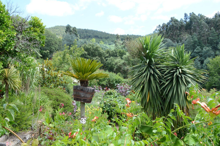 Others 5, Quinta da Granja Gardener's cottage, Miranda do Corvo