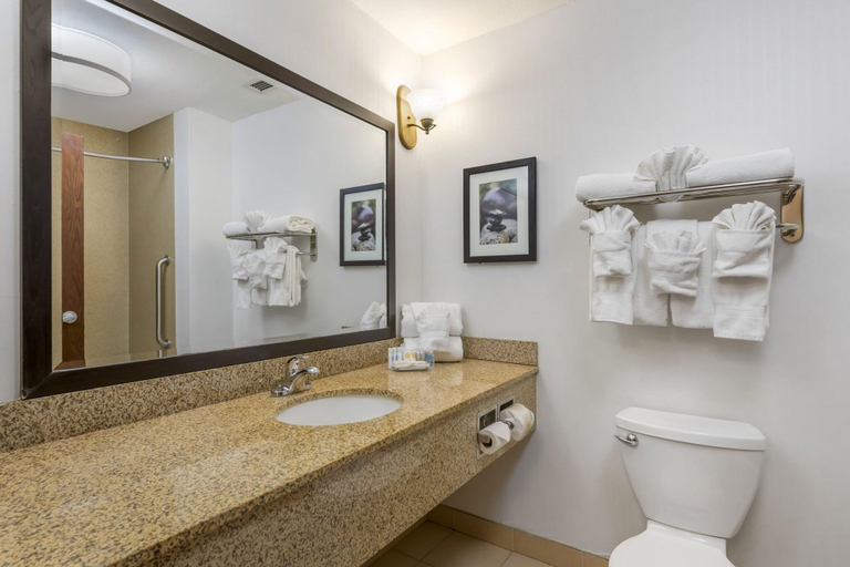 Bathroom 4, Comfort Suites Hotel & Convention Center in Rapid, Pennington