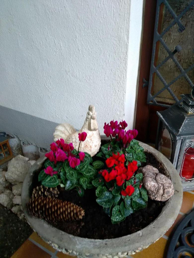 Others 3, Tannhauser b&b, Schwarzwald-Baar-Kreis