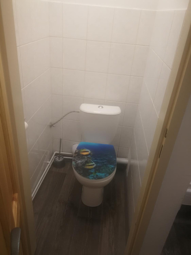 Bathroom 2, Rena, Praha 4