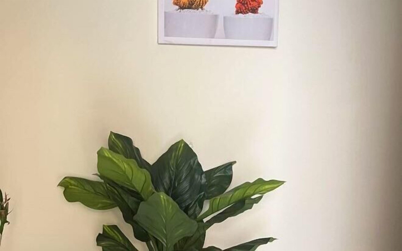Interior 2, Lemon Tree & Home 2, New Cairo City