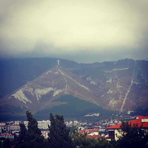 Others 5, Camelia, Gelendzhik gorsovet
