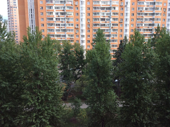 Others 3, B&B on Novocheremushkinskaya 50, South-Western