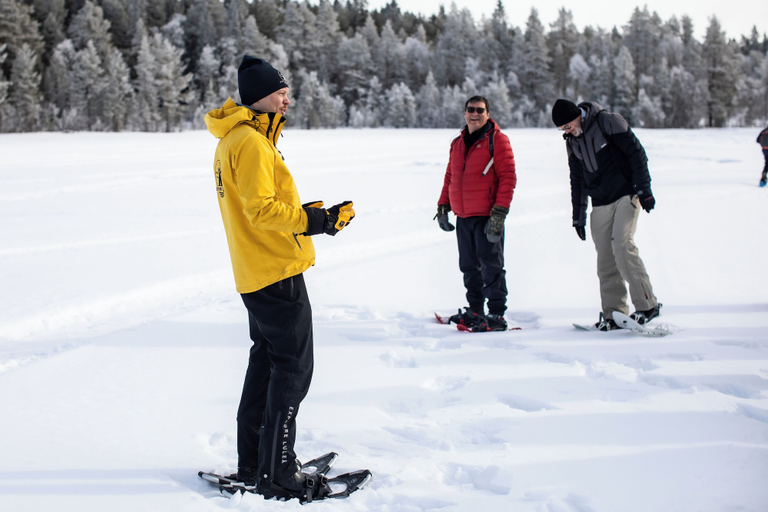 Snowshoeing, Ice and light village, Luleå