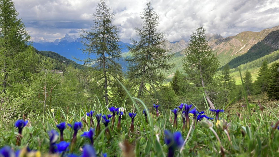 Others 4, Hotel Garni Salvanel, Trento