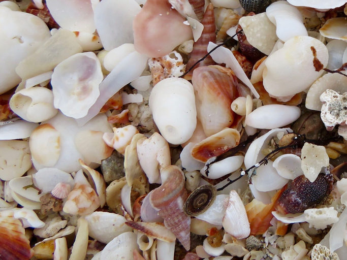 Miscellaneous 2, E-10.5 at Playa Encanto Scenic Gem Ocean Front Home, Puerto Peñasco