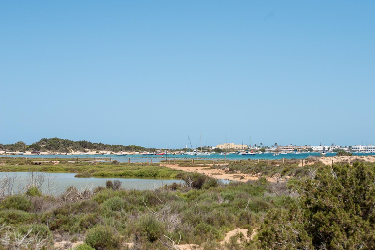Room 3, Formentara in Formentera, Baleares
