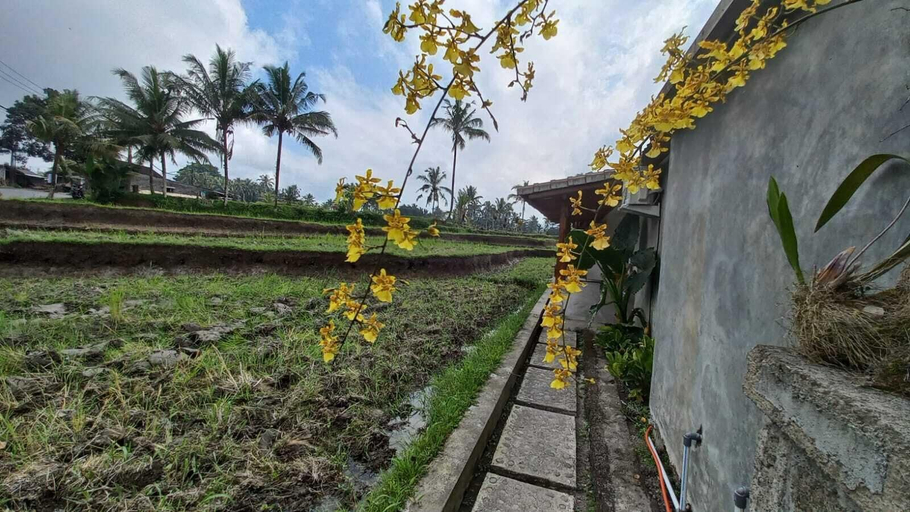 Garden view 3, Rumah Kemuning Bali, Gianyar