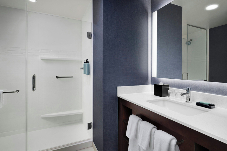 Bathroom 3, Residence Inn By Marriott Reno South, Washoe