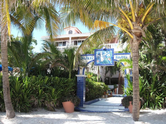 Others 5, Blue Tang Inn