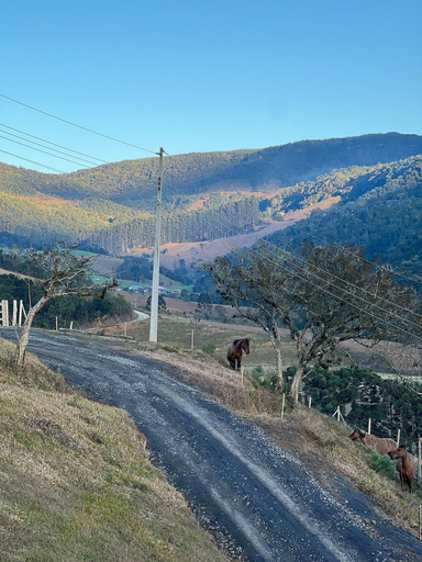 Exterior 2, Refúgio dos Lobos com Banheira de Hidromassagem ao Lado de Alfredo Wagner - SC, Leoberto Leal