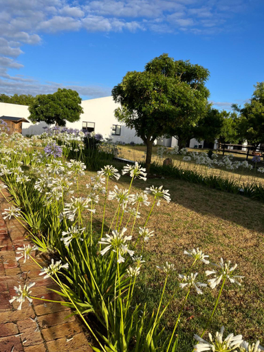 Garden 3, Gratitude Wellness Village - The Cottages, Eden