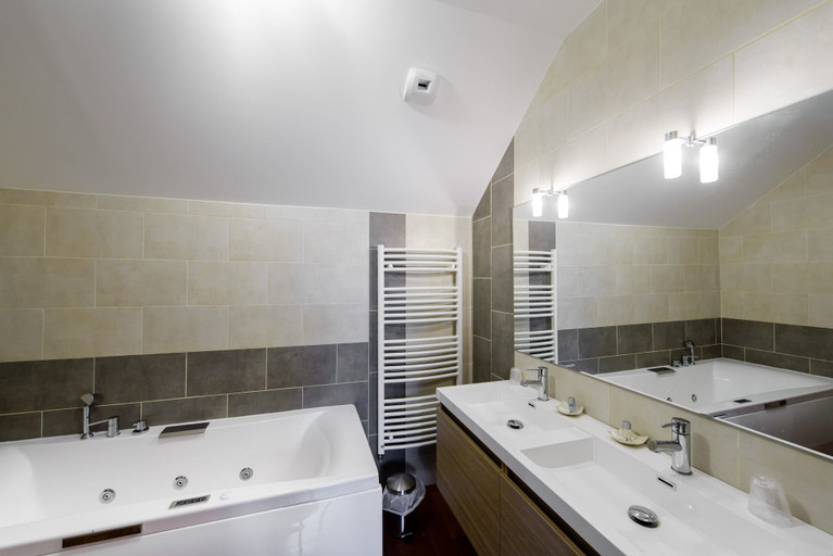 Bathroom 5, Les Lavandières de Fontaine, Aisne