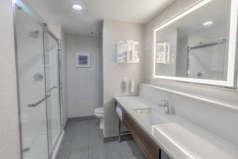Bathroom 5, Hampton Inn By Hilton Santa Clarita-Valencia, Los Angeles