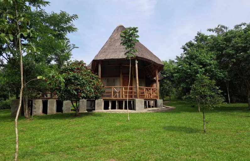 Room 5, Kibale Canopy Lodge, Kibale