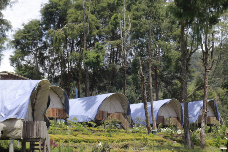 Others 5, Dieng Glamping (Syariah), Wonosobo