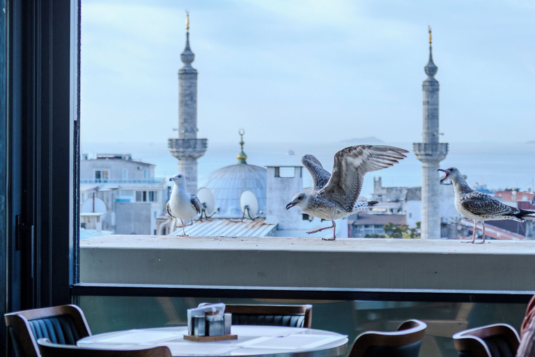 Exterior 2, Lions Royal, Fatih