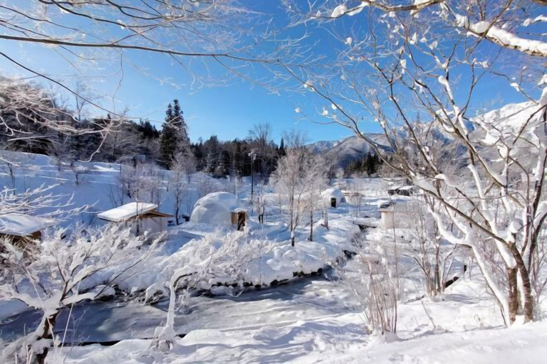 Exterior 4, Glamping+Sauna Hakuba morino wasabi nouen, Hakuba