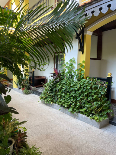 Exterior & Views 2, Sunflower Angkor Boutique Hotel, Siem Reap