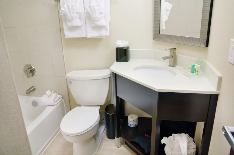 Bathroom, Holiday Inn CHARLOTTE-AIRPORT CONF CTR by IHG, Mecklenburg