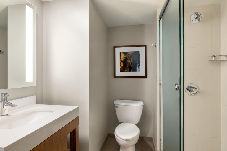 Bathroom, Hyatt Place Keystone, Summit