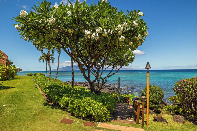 Property grounds 2, Kuleana Club - 611, Maui