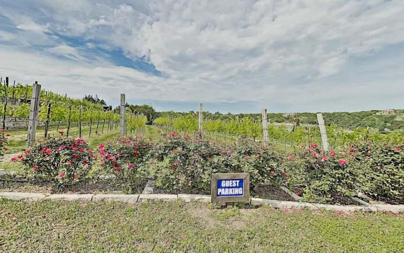 Property grounds 3, Vineyard Haus W/boat Dock on Lake Travis, Travis