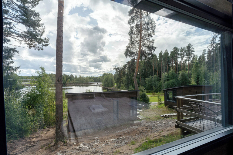 Aerial view 4, Koskisviitti 3, Central Finland