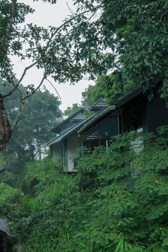 Exterior 5, Swiss Holidays, Wayanad