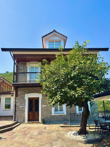 Primary image