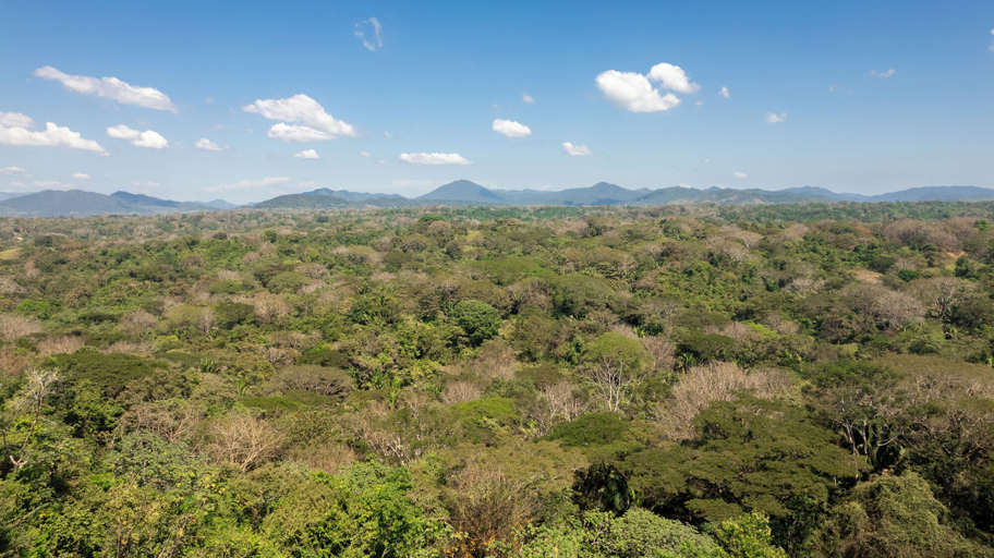 Mountain view, Casita Nalu by Wynwood House, Puntarenas