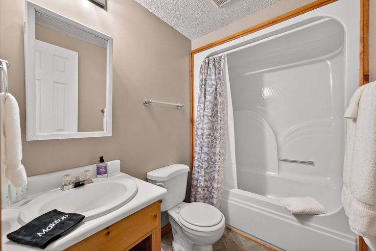 Bathroom 3, The Ellijay Resort, Gilmer