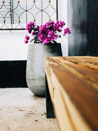 Others 5, Casa Lupe Hostal, Envigado