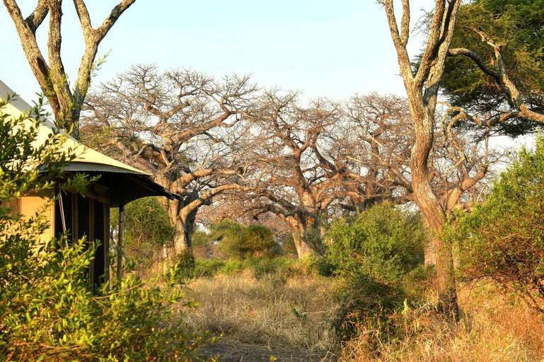 Room 4, Tarangire Greenland Retreat, Babati