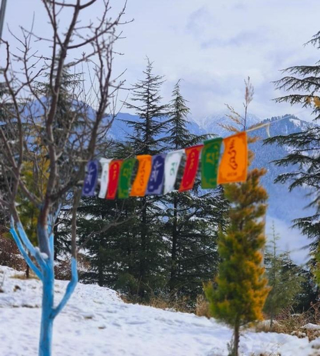 Others 5, Dahar Heights - A Boutique Homestay, Mandi