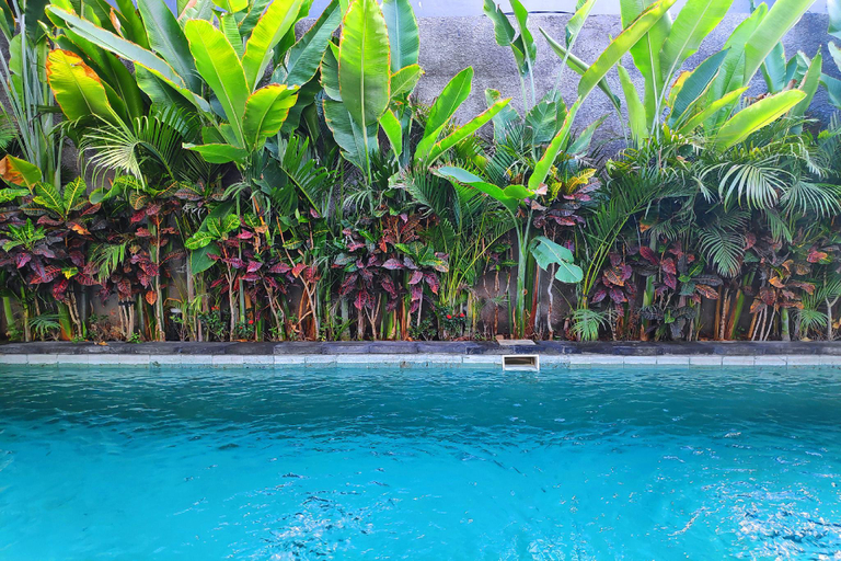 Others 5, Escotel Jalak Guest House, Badung