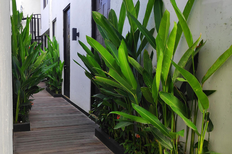 Others 4, Escotel Jalak Guest House, Badung