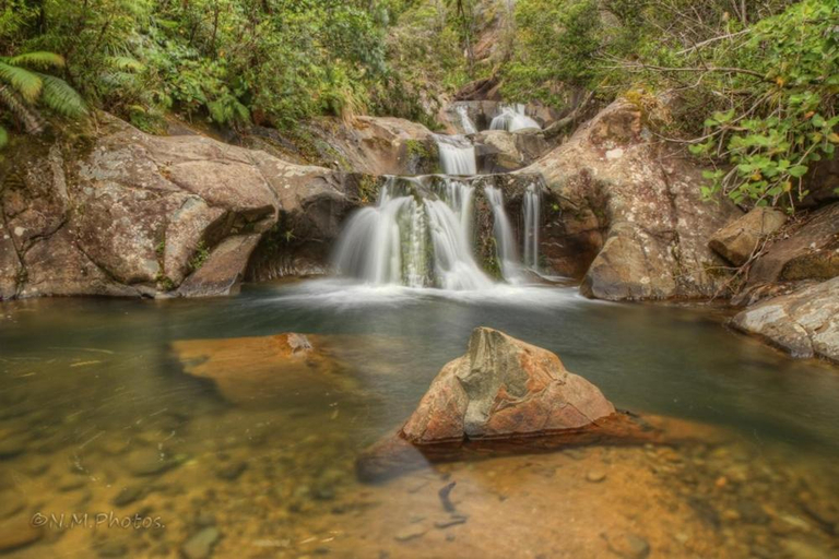 Others 4, Rapaura Water Gardens Boutique Accommodation, Thames-Coromandel