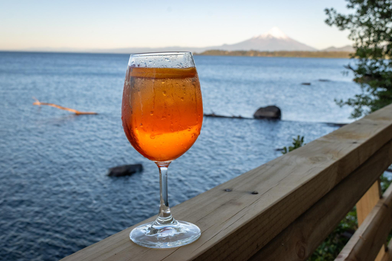 Food & Drinks 5, Borde Lago Hotel, Llanquihue