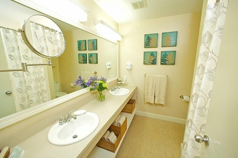 Bathroom 3, Mount Snow Grand Summit Resort, Windham
