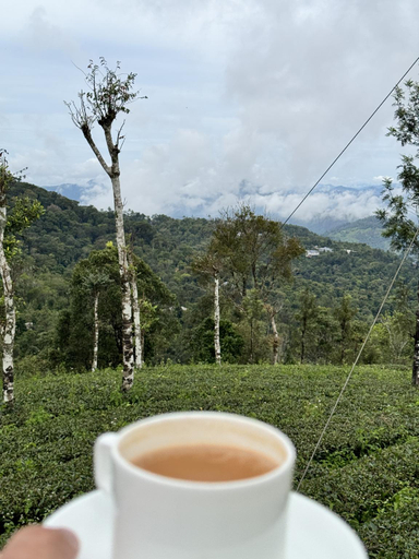 Food & Drinks 4, Meghamala Resorts, Idukki