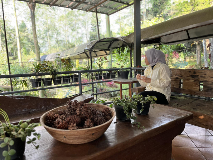 Public Area 4, The Pinewood Lodge & Organic Farm, Bogor
